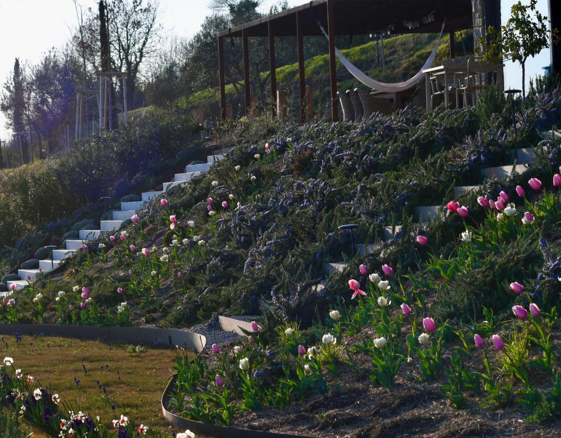 Monte Piccolo B&B Buje Εξωτερικό φωτογραφία